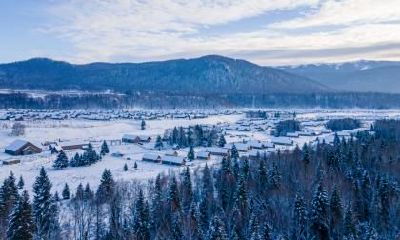 惊蛰节气谚语，惊蛰三侯是什么？