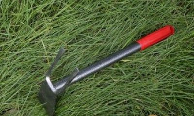 梦见用锄头挖草药