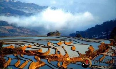 梦见在田边洗手