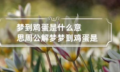 梦到鸡蛋是什么意思周公解梦 梦到鸡蛋是什么意思周公解梦女人