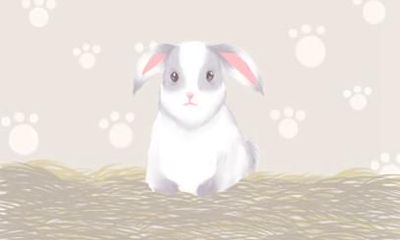 属兔和属狗能不能结婚 是可以结婚的