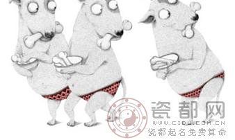 光棍节生肖狗脱光攻略