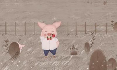 冬至出生的生肖猪命运运势解析