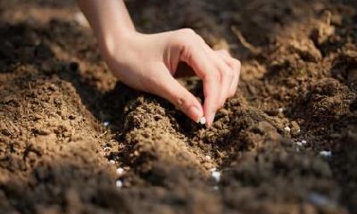 2018年10月6日出生男孩如何起名？宝宝五行起名怎么取？