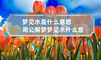 梦见水是什么意思周公解梦 梦见水什么意思啊