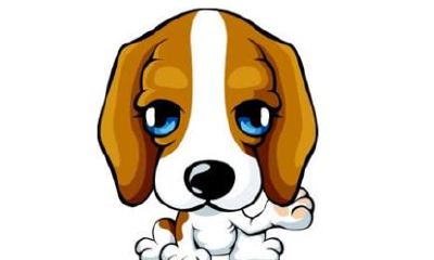 各个年份出生的属狗人2020年运势