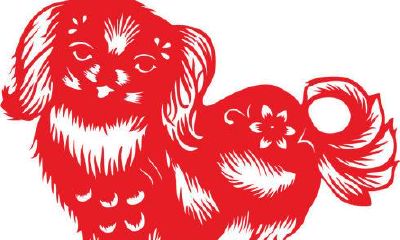 属狗人2020年运势—四大运势