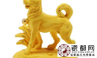 生肖狗逢各流年的财运剖析