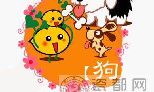 属狗(生肖狗)的人如何自行开运