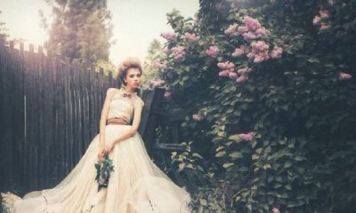 男狗女猪结婚会离婚吗？属猪女的婚姻观？