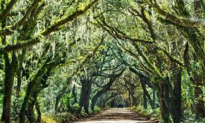 2018年10月23日出生的男孩怎么取名？五行论命如何？