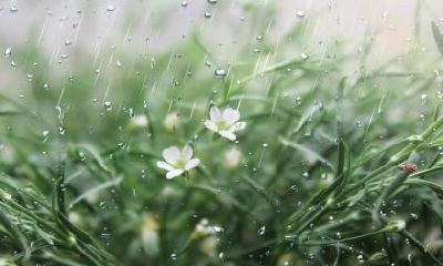 2021年惊蛰节气的财神方位，各时辰财神方位查询