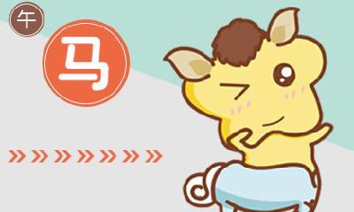 男属马婚配什么女好 女属马配什么男好