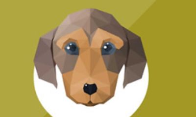 2015下半年生肖狗财运解析