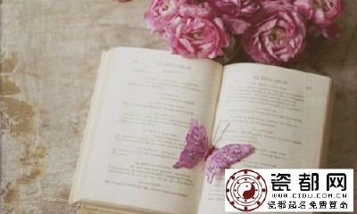 肖狗人要养好心包经