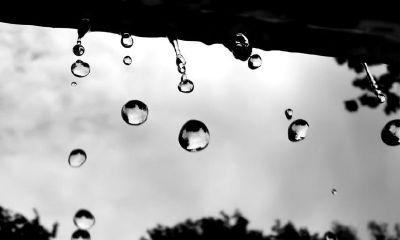 女狗男鸡能结婚吗？属鸡男喜欢什么类型的女性？