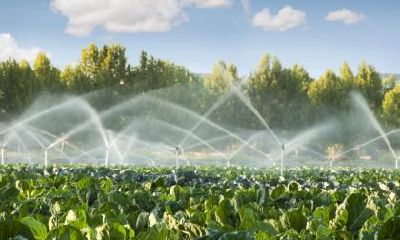 2021年惊蛰生的八字五行缺土男孩取哪些名字合适？