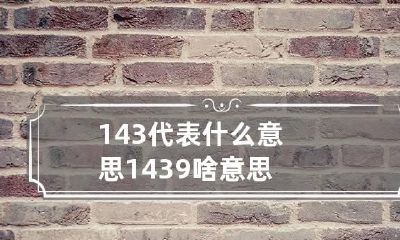 143代表什么意思 1439啥意思