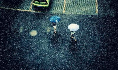 女狗男鸡的婚姻命运？属鸡男有什么不好的地方？