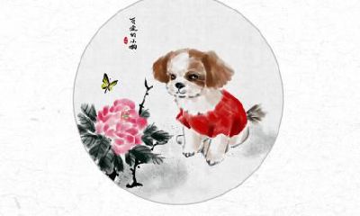 2018年10月8日生的狗宝宝怎么起名好？是属什么五行属性？