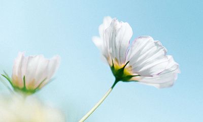 十二星座攻心策：处女男