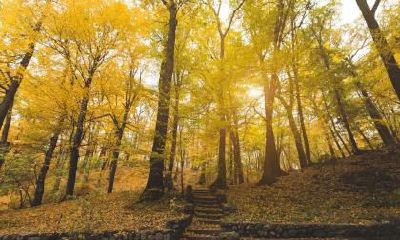 期望起名的方法