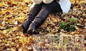 属狗的人2013年11月运势