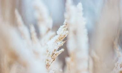 2020年农历闰四月初三五行属木男孩名字