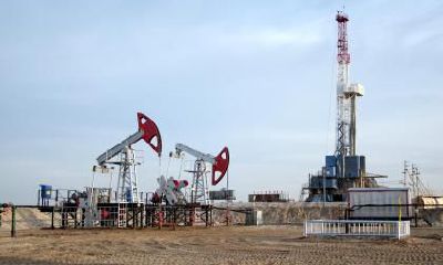 2020年农历闰四月初四五行属土男孩起名宜用字