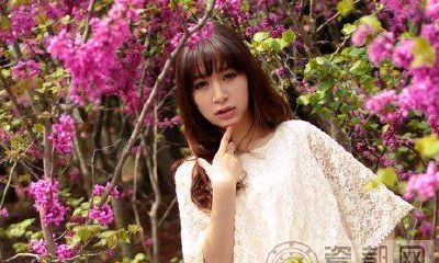 B型血属鸡人性格特点:头脑冷静，金鸡独唱