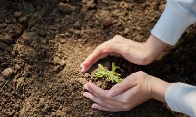 2019年腊月十五出生的女孩五行缺水的名字推荐，缺水怎么取名？