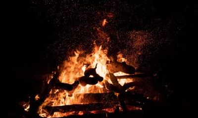 2019年腊月十五出生的男孩五行缺木的名字推荐，缺木怎么化解？