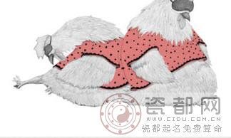 光棍节生肖鸡脱光攻略