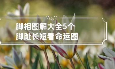 脚相图解大全 5个脚趾长短看命运图