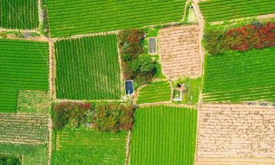 2020年农历闰四月初九五行缺火寓意好的男孩名字