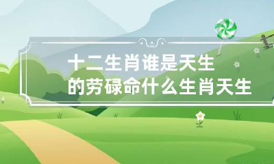 十二生肖谁是天生的劳碌命 什么生肖天生劳碌命
