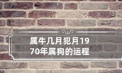 属牛几月犯月 1970年属狗的运程