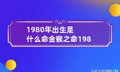 1980年出生是什么命金猴之命 1980年属猴的是金命