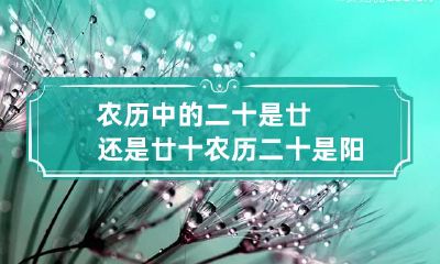 农历中的二十是廿还是廿十 农历二十是阳历多少