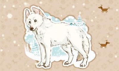 2018狗年蔡姓宝宝取名，蔡姓狗宝宝名字大全