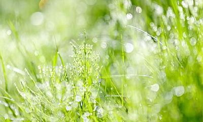 2018年11月1日出生的宝宝如何起名？五行属什么？