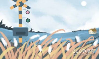 婚姻是爱情的坟墓，属虎的人如何看待