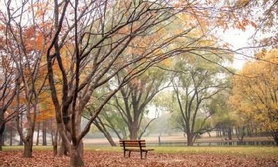 2019年农历腊月十六出生的男孩五行缺火有寓意的名字推荐