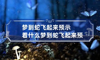 梦到蛇飞起来预示着什么 梦到蛇飞起来预示着什么呢