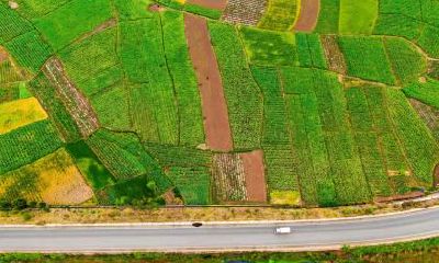 2019年谷雨五行缺水的女孩如何起名字？适合什么字？