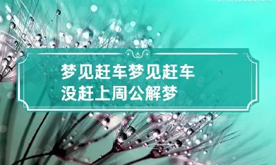 梦见赶车 梦见赶车没赶上 周公解梦