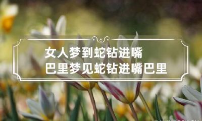 女人梦到蛇钻进嘴巴里 梦见蛇钻进嘴巴里