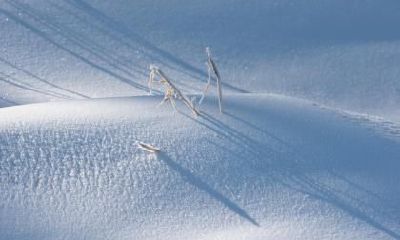 2019年夏至节气是几点几分？夏至节气的定义