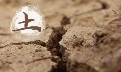 2019年三月三出生男孩五行缺金起名大全