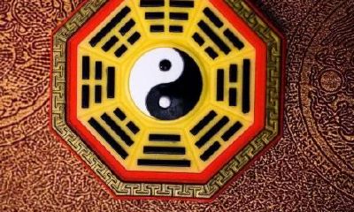 紫微斗数排盘天同星在官禄宫八字命理分析